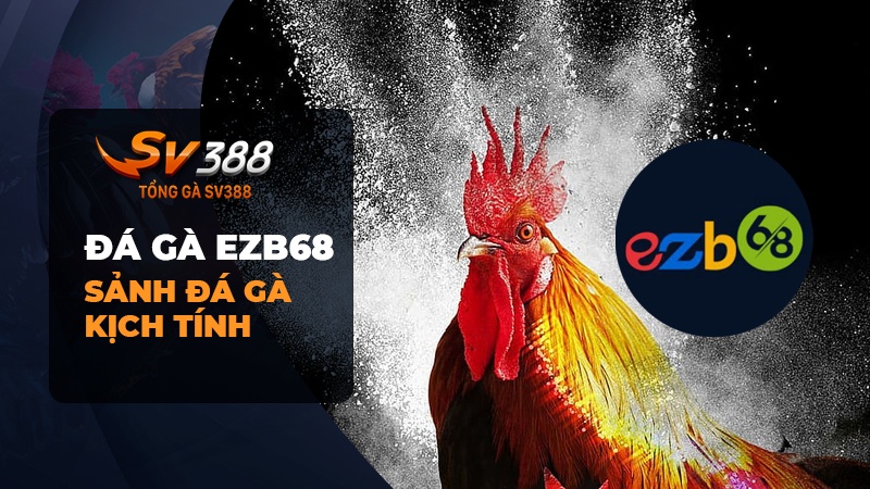 Đá gà EZB68 | Đăng ký tài khoản bồ gà EZB68 Mộc Bài