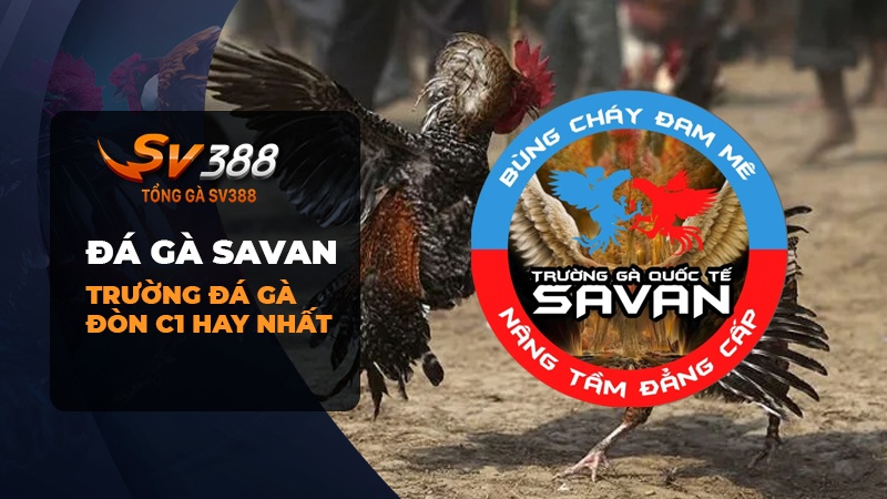 Đá gà Savan | Đăng ký tài khoản bồ gà Savan Lào