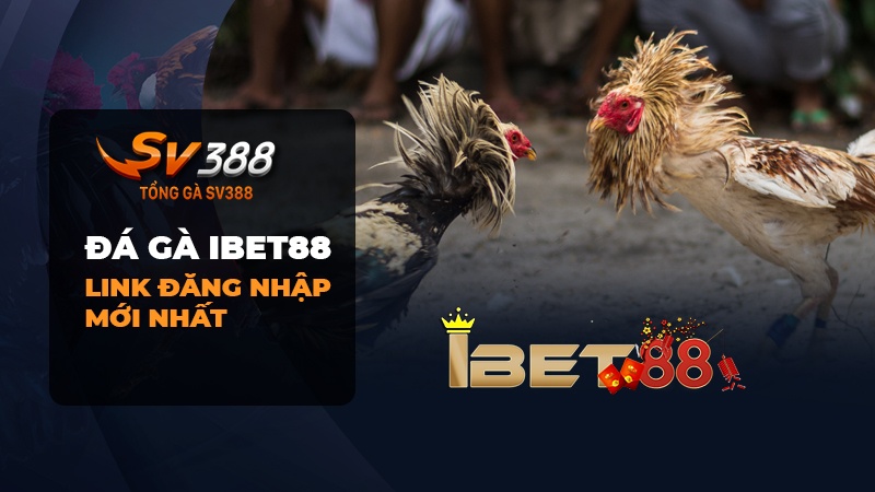 Đá gà Ibet88 | Link vào đá gà ibet88 mới nhất